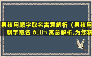 男孩用麟字取名寓意解析（男孩用麟字取名 🐬 寓意解析,为您精选美好寓意的男孩名字）